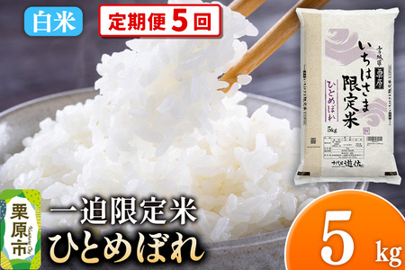 [定期便5回][白米]令和7年産 一迫限定米 ひとめぼれ 5kg