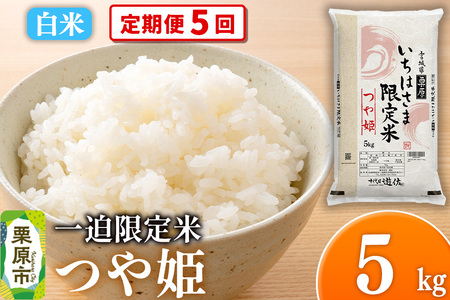 [定期便5回][白米]令和7年産 一迫限定米 つや姫 5kg