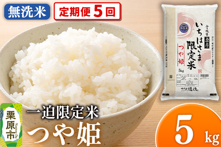 [定期便5回][無洗米]令和7年産 一迫限定米 つや姫 5kg