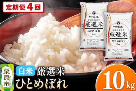 s4t yāzߘa7NY {錧Is I ЂƂ߂ڂ 10kgi5kg×2܁j