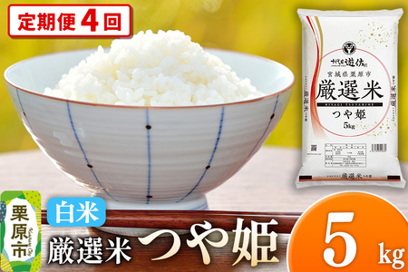 s4tyāzߘa7NY {錧Is I P 5kg