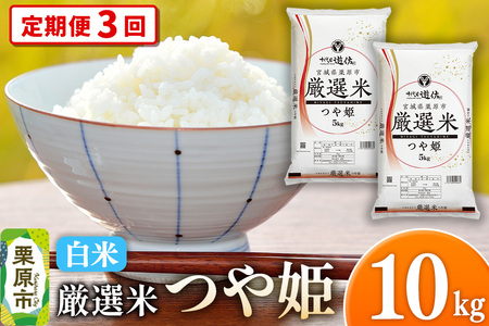 s3tyāzߘa7NY {錧Is I P 10kgi5kg×2܁j