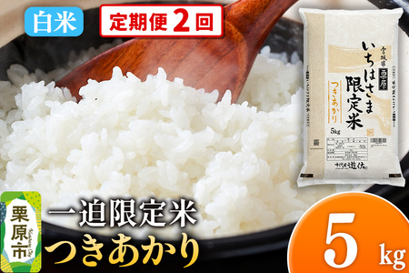 [定期便2回][白米]令和7年産 一迫限定米 つきあかり 5kg