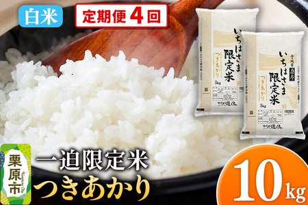 s4tyāzߘa7NY ꔗ  10kgi5kg×2܁j