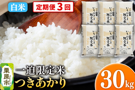 s3tyāzߘa7NY ꔗ  30kgi5kg×6܁j