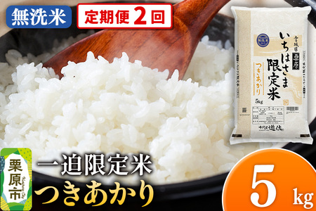 [定期便2回][無洗米]令和7年産 一迫限定米 つきあかり 5kg
