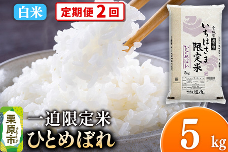 [定期便2回][白米]令和7年産 一迫限定米 ひとめぼれ 5kg