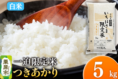 [白米]令和7年産 一迫限定米 つきあかり 5kg