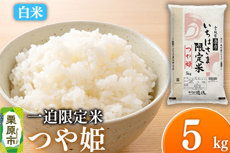 [白米]令和7年産 一迫限定米 つや姫 5kg