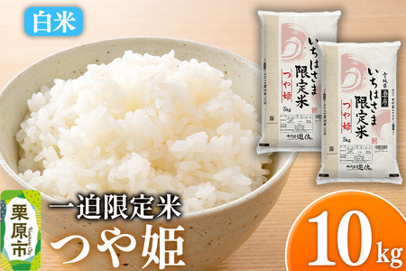 yāzߘa7NY ꔗ P 10kgi5kg×2܁j