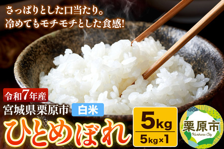 yāzߘa7NY {錧IY ЂƂ߂ڂ 5kgi5kg×1܁jς `` ɂ ٓ