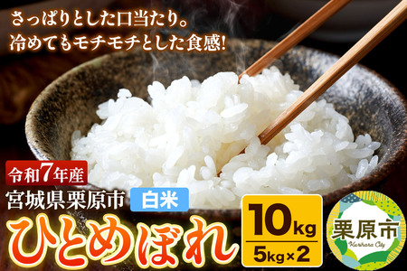 yāzߘa7NY {錧IY ЂƂ߂ڂ 10kgi5kg×2܁jς `` ɂ ٓ