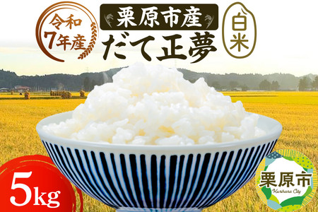 sߘa7NYtyāzIsY Đ 5kg  uh V_Y {錧 Is