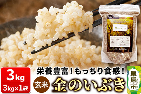 āyāẑԂ 3kgi3kg×1܁j