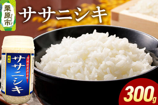 米 白米 令和7年産 ササニシキ 300g