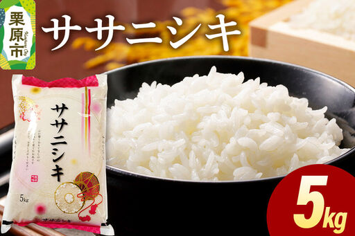 米 白米 令和7年産 ササニシキ 5kg