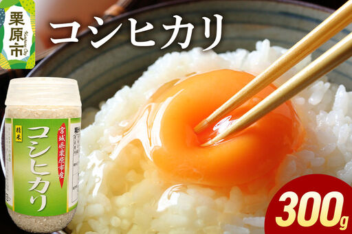 米 白米 令和7年産 コシヒカリ 300g
