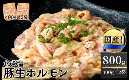 お肉屋さん 自慢の味付け! 国産 豚 生ホルモン ねぎ塩味 800g(400g×2パック) 冷凍 小分け 味付 簡単 調理 豚ホルモン ブタ 焼肉 おつまみ バーベキュー BBQ 宮城県 東松島市 オンラインワンストップ 対応 自治体マイページ 佐利 AA