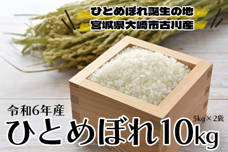 (04236)【令和6年産】大崎市古川産ひとめぼれ10kg