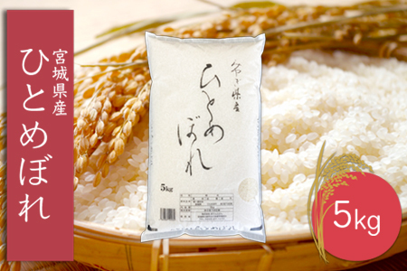 (06445)《精米》令和6年産 宮城県産ひとめぼれ5kg