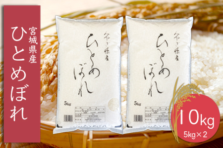 (06446)《精米》令和6年産 宮城県産ひとめぼれ5kg×2袋