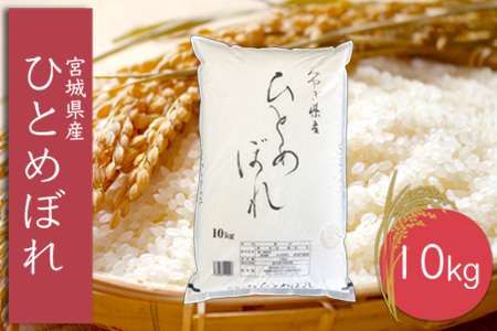 (06449)《精米》令和6年産 宮城県産ひとめぼれ10kg
