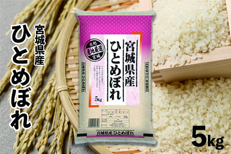 (09509)[令和6年産]宮城県産ひとめぼれ5kg