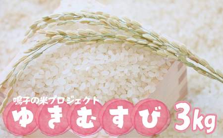 鳴子の米プロジェクト ゆきむすび3kg[2025年産]|宮城県大崎市鳴子温泉産米