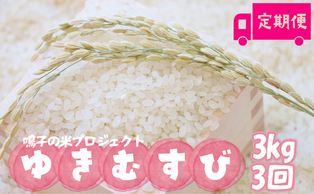 q̕ăvWFNg 䂫ނ3kg×3 ցy2025NYzb{錧sqY