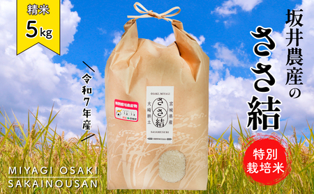 ���_�Y�̂����� ���ʍ͔|�� �{�錧�Y ���� 5kg