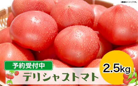 糖度7度以上の高級トマト|ふるさと納税 デリシャストマト 2.5kg(予約受付中)
