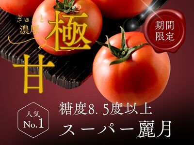 [糖度8.5度以上]スーパー麗月トマト 1kg|冬期育ちの濃厚な甘み・産地直送の完熟トマト