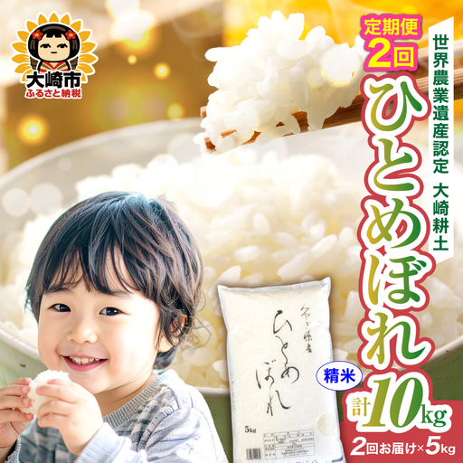 定期便[精米]令和7年 宮城県産 ひとめぼれ 5kg×2回(計10kg) | ot001-hb-5kg-r704-t2
