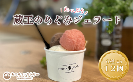 蔵王のめぐみたっぷりジェラート 12個 ジェラート フルーツ デザート 贈り物 蔵王[04301-0503]