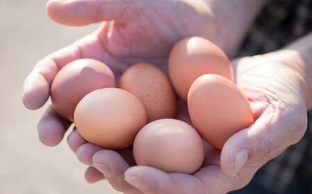 蔵王鶏園 眠れる森のたまご 朝採れ卵50個+自家製マヨネーズ+ドレッシングセット [04301-0181]