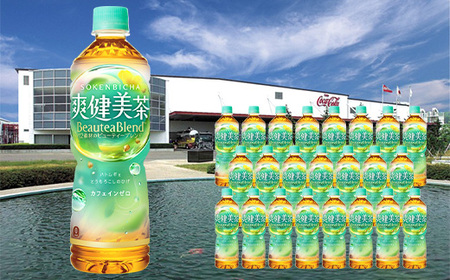 y3A͂zu@600ml PET×24{@y04301-0028z