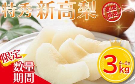[先行予約][蔵王町産][特秀]新高梨3kg箱詰め [04301-0605]