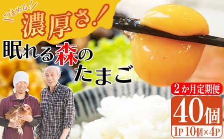 [2か月連続お届け]眠れる森のたまご 朝採れ卵40個 たまご タマゴ 卵 鶏卵 濃厚 こだわり 新鮮 定期便 [04301-0797]