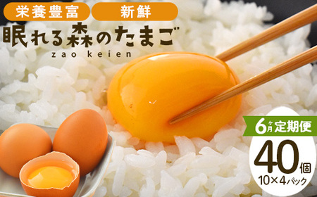 y6A͂zX̂܂ ̂ꗑ40@܂ ^}S  { Z  VN ց@y04301-0798z