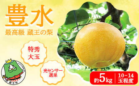 [先行予約]最高級 蔵王の梨 豊水 約5kg 特秀・大玉 [04301-0716]梨 なし 果物 くだもの スイーツ フルーツ デザート 甘い ジューシー 蔵王