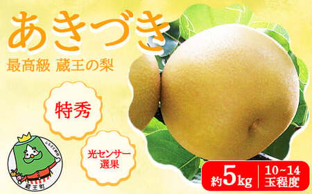 [先行予約]最高級 蔵王の梨 あきづき 約5kg 特秀･大玉 [04301-0717]梨 なし 果物 くだもの スイーツ フルーツ デザート 甘い ジューシー 蔵王