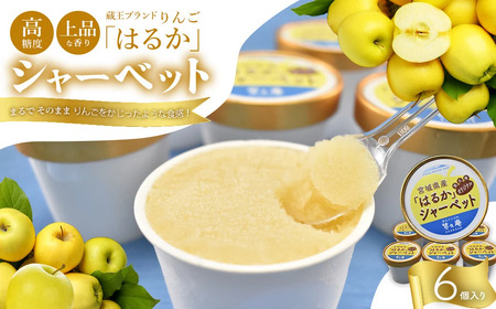 りんご「はるか」シャーベット [04301-0202]