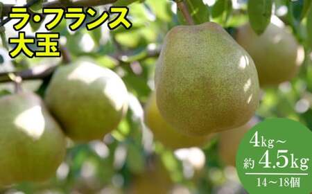 [先行予約]厳選 おいしいラ･フランス約4kg(14〜18個) 蔵王産 [04301-0151]