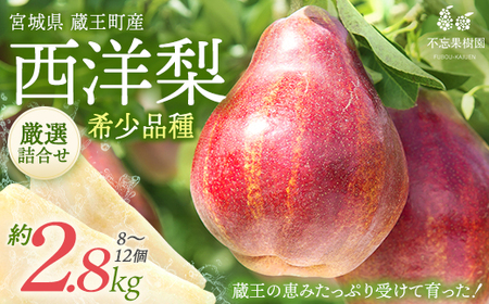 󏭂ȗmu[KbhR~Xv 2.5`2.8kgi8`12j Y@y04301-0184z