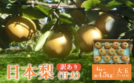 ys\zy󂠂z{iÑj4kgi7`14ʓj Y@y04301-0454z