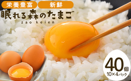 眠れる森のたまご 朝採れ卵40個 たまご タマゴ 卵 鶏卵 濃厚 こだわり 新鮮 [04301-0324]