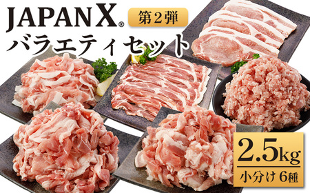 JAPAN X バラエティセット 第2弾 6種 2.5kg 豚肉 豚 ブランド豚 小分け バラエティセット 豚こま 豚バラ 豚ロース ひき肉 ジャパンエックス 蔵王 人気 [04301-0888]