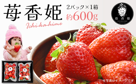 1i2pbN/傫/ϔj䕍P`ICHIKA-HIME`@y04301-0563z