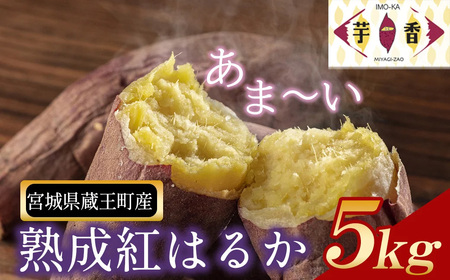 ng͂邩@-IMO-KA-@1i5kg^2L`3L^Yj@y04301-0712z