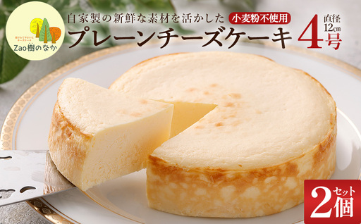 [選べる組合せ]蔵王のチーズケーキ専門店 選べるチーズケーキ[プレーンチーズケーキ2個] [04301-1033-2]